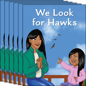 We Look for Hawks 6-Pack