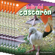 Salir del cascarón 6-Pack