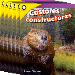 Castores constructores 6-Pack