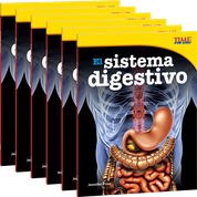 El sistema digestivo 6-Pack