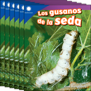 Los gusanos de la seda 6-Pack