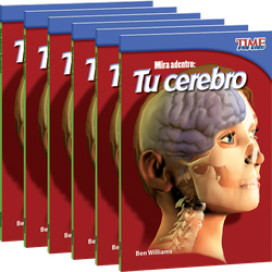 Mira adentro: Tu cerebro 6-Pack