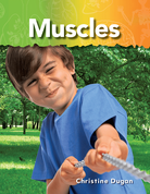 Muscles