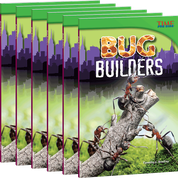 Bug Builders 6-Pack