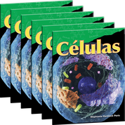 Células 6-Pack