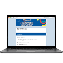 Focused Mathematics: Digital Add-on: Level 4